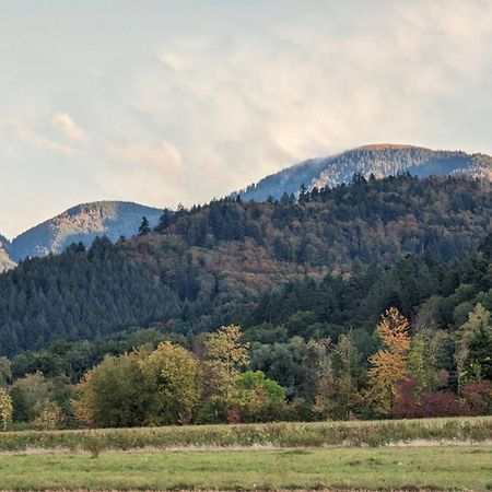 Ferienwohnung Belchenblick Staufen im Breisgau Zewnętrze zdjęcie