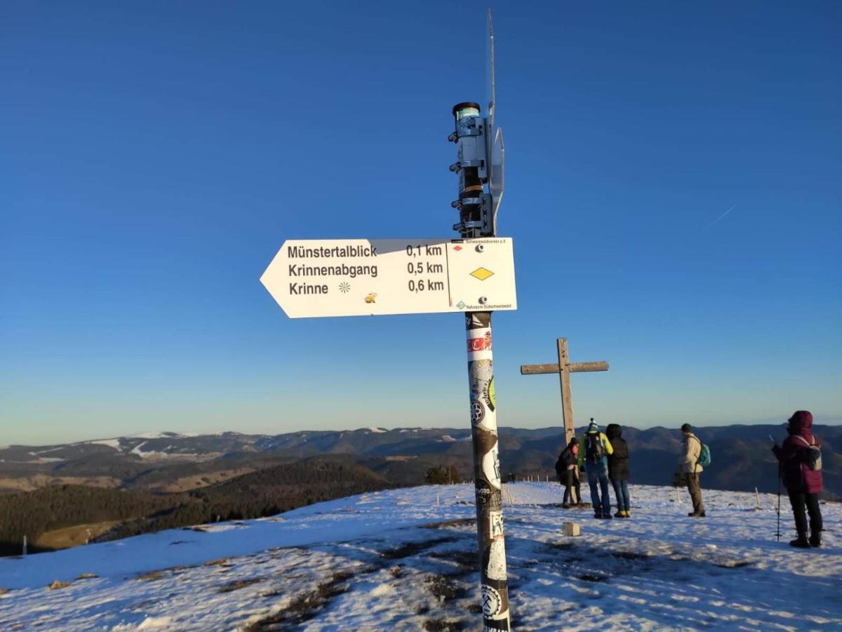 Ferienwohnung Belchenblick Staufen im Breisgau Zewnętrze zdjęcie