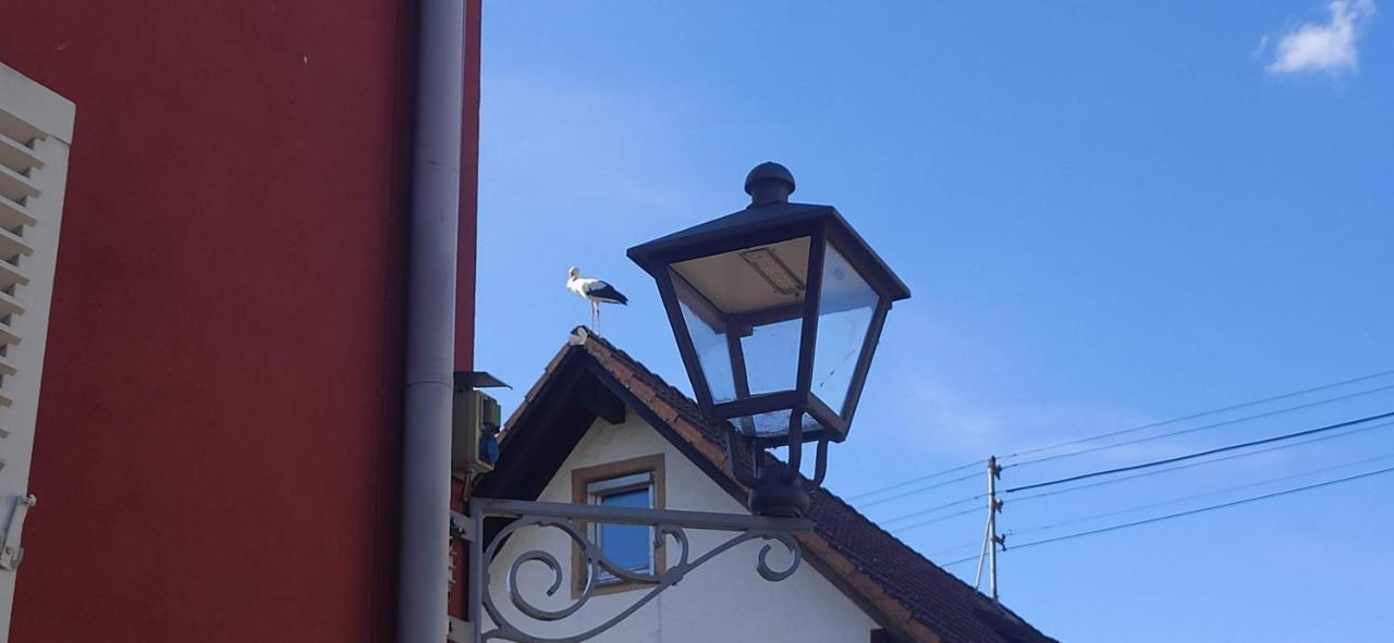 Ferienwohnung Belchenblick Staufen im Breisgau Zewnętrze zdjęcie