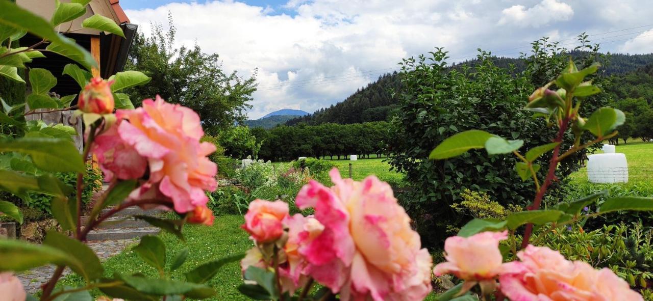 Ferienwohnung Belchenblick Staufen im Breisgau Zewnętrze zdjęcie