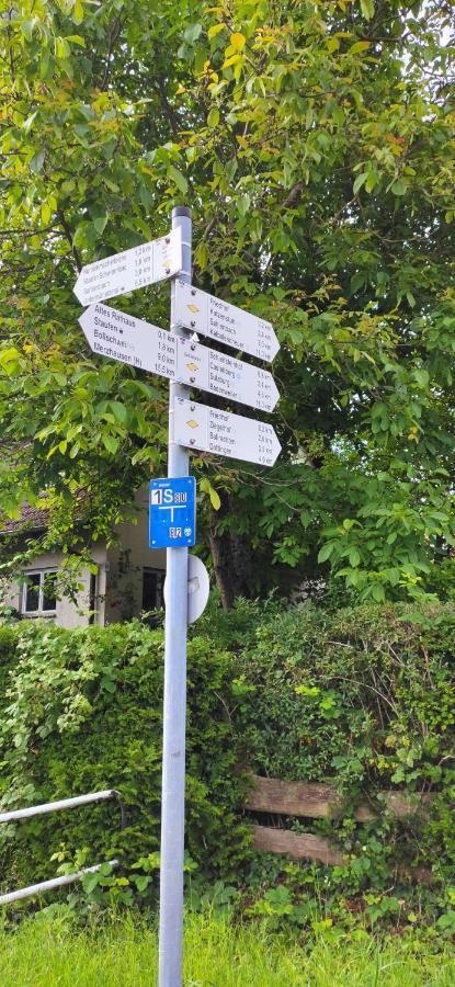 Ferienwohnung Belchenblick Staufen im Breisgau Zewnętrze zdjęcie