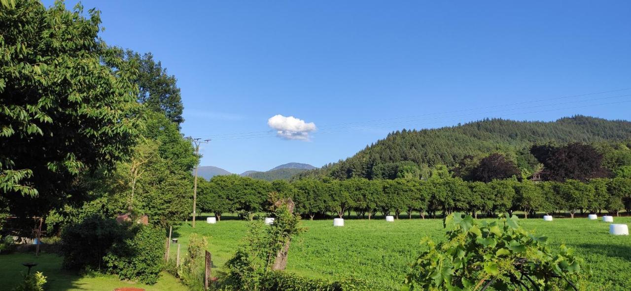 Ferienwohnung Belchenblick Staufen im Breisgau Zewnętrze zdjęcie