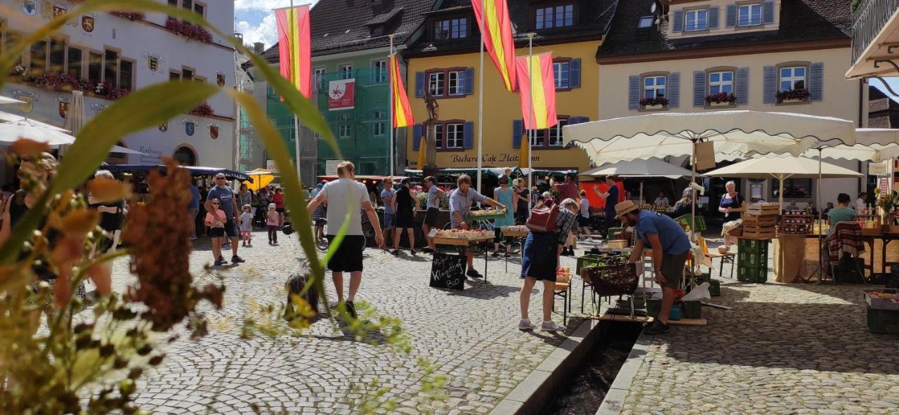 Ferienwohnung Belchenblick Staufen im Breisgau Zewnętrze zdjęcie