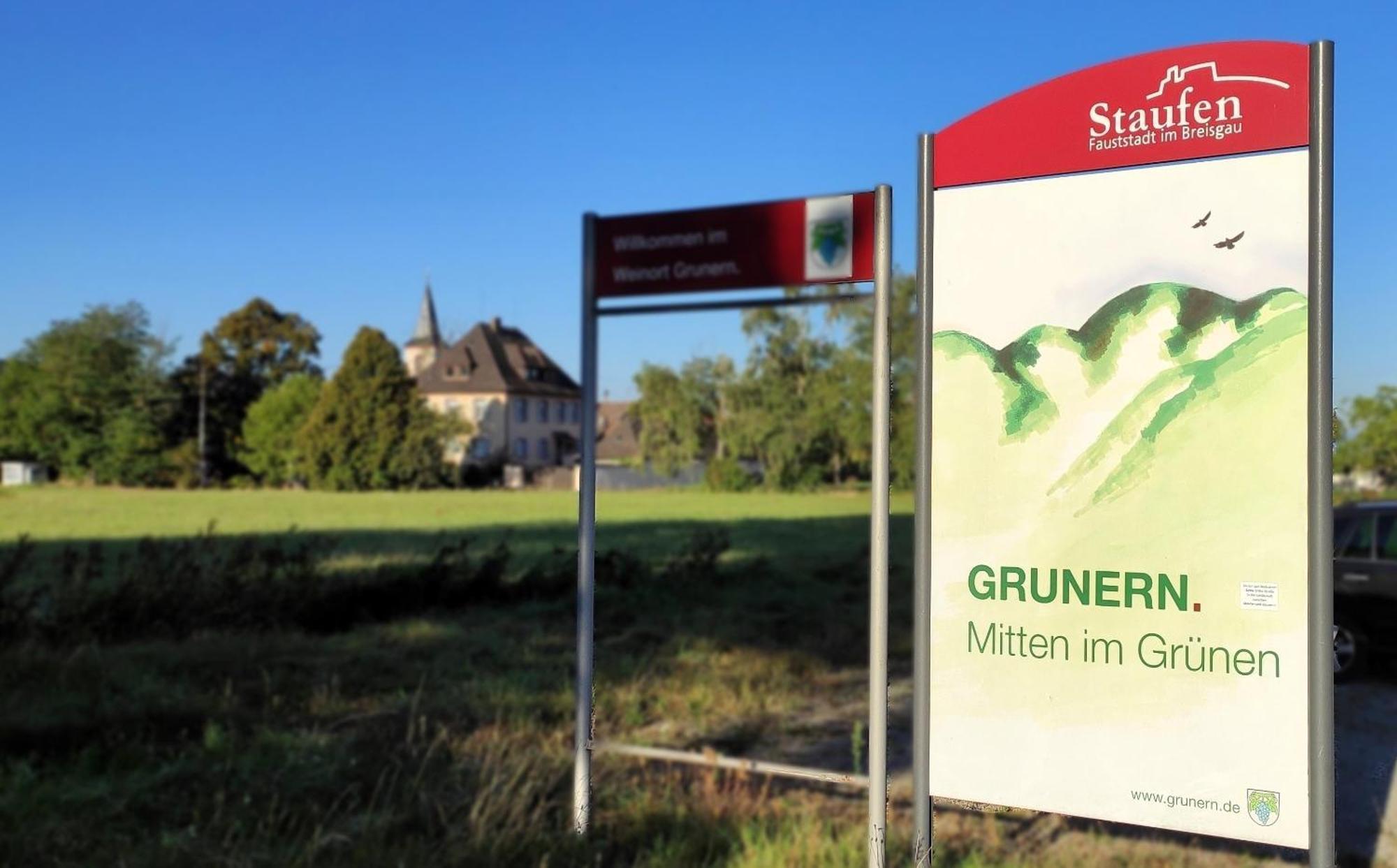 Ferienwohnung Belchenblick Staufen im Breisgau Zewnętrze zdjęcie
