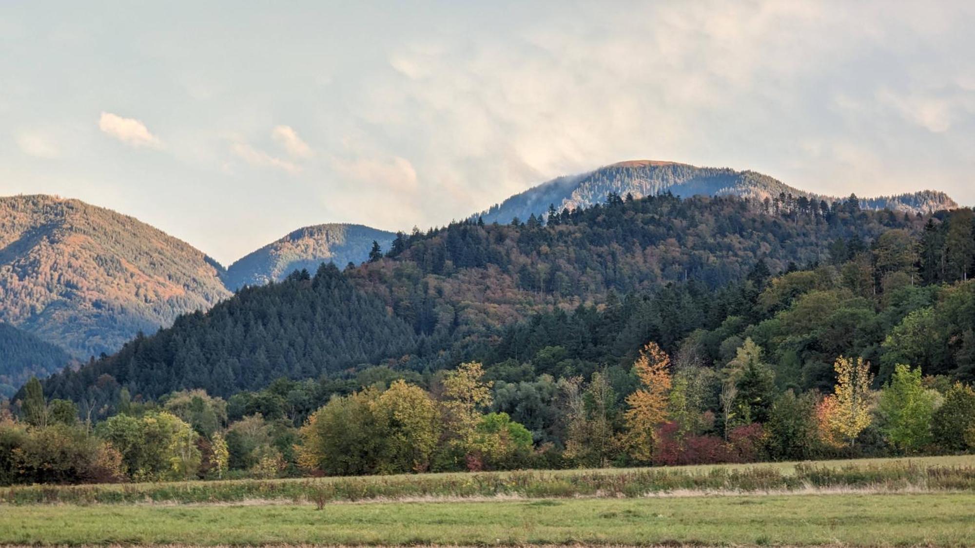Ferienwohnung Belchenblick Staufen im Breisgau Zewnętrze zdjęcie